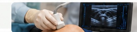 초음파 유도 주사